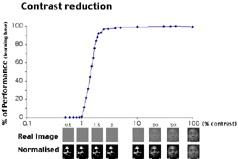 Face detection under contrast reduction