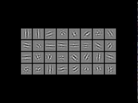 Unsupervised orientation learning