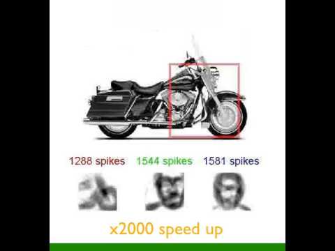 Unsupervised visual category learning