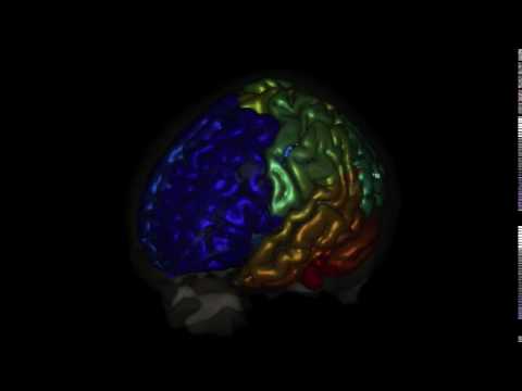 Brain Movie visualization